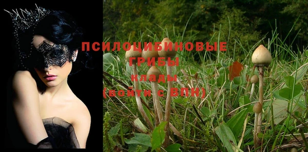 MESCALINE Дмитровск