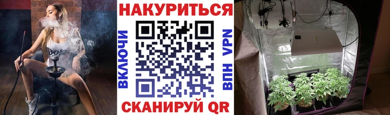 Каннабис OG Kush  Коломна 